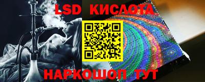 apvp Свободный