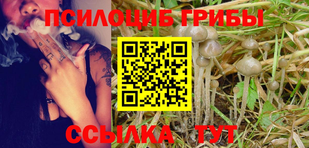 Галлюциногенные грибы Cubensis Мурино