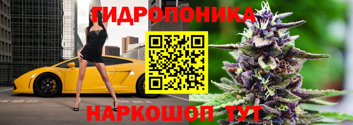 Мурино  Бошки марихуана AK-47  МАРИХУАНА планчик  Шишки марихуана сатива  Вход с VPN 
